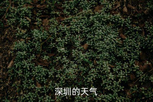深圳的天氣