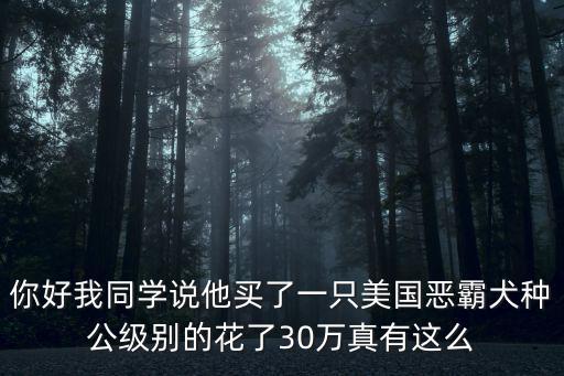 你好我同學(xué)說他買了一只美國惡霸犬種公級別的花了30萬真有這么