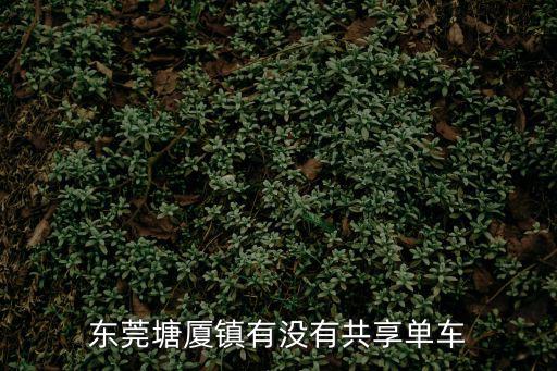 東莞塘廈鎮有沒有共享單車