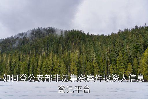 如何登公安部非法集資案件投資人信息登記平臺