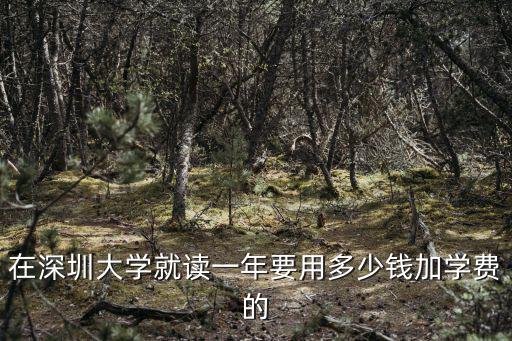 在深圳大學就讀一年要用多少錢加學費的