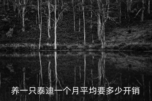 養一只泰迪一個月平均要多少開銷