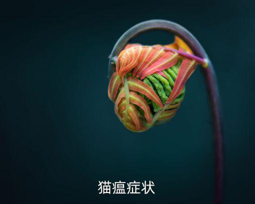 貓瘟癥狀