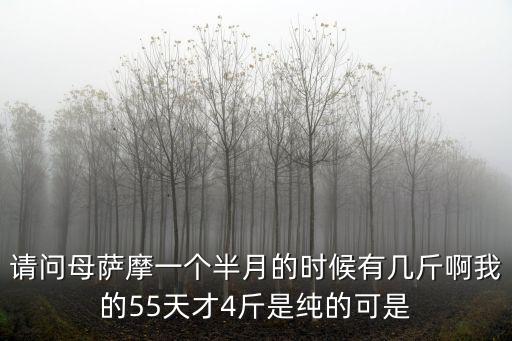 三個月薩摩耶多少斤，請問下薩摩三個月大一半大概有多長多高體重多少 該怎么養