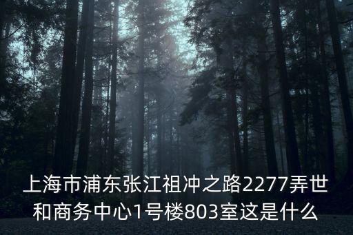 上海市浦東張江祖沖之路2277弄世和商務中心1號樓803室這是什么