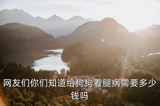 網(wǎng)友們你們知道給狗狗看腿病需要多少錢嗎