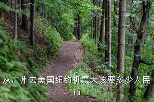 從廣州去美國紐約機票大該要多少人民幣