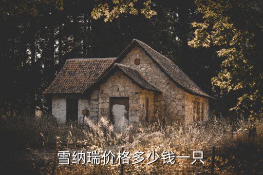 雪納瑞價(jià)格多少錢一只