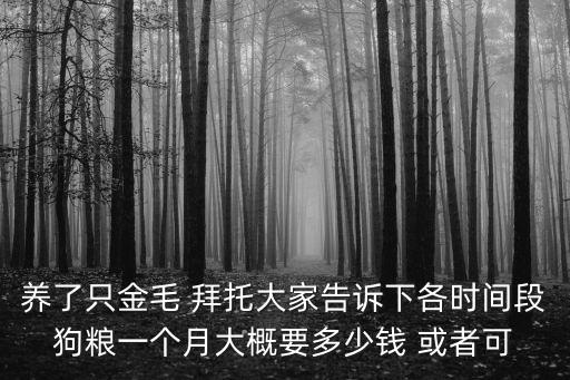 金毛幼犬糧多少錢，養(yǎng)金毛犬的狗糧買那種多少錢