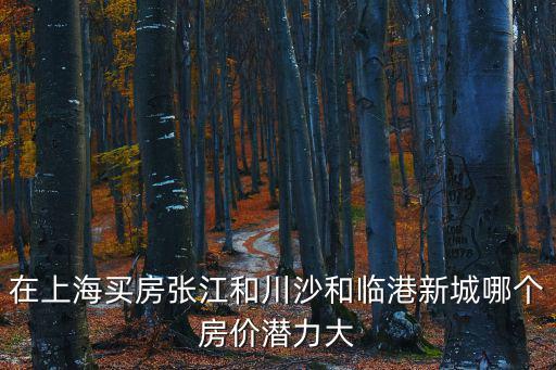 在上海買房張江和川沙和臨港新城哪個(gè)房價(jià)潛力大