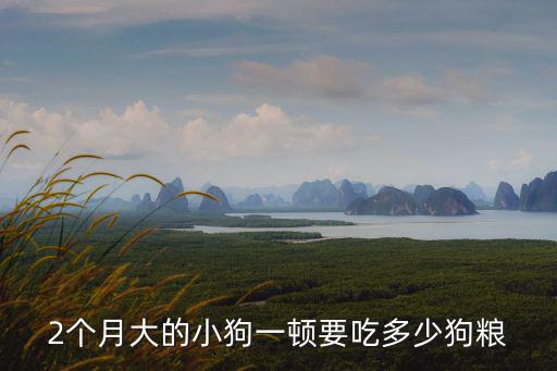 2個月大的小狗一頓要吃多少狗糧