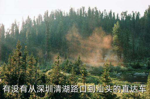 有沒有從深圳清湖路口到汕頭的直達車