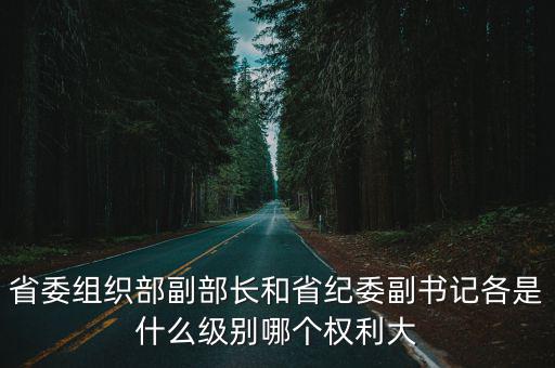 省委組織部副部長和省紀委副書記各是什么級別哪個權利大