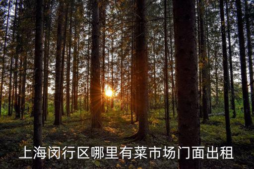 上海閔行區哪里有菜市場門面出租