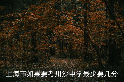 上海市如果要考川沙中學最少要幾分