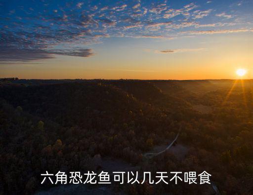 六角恐龍魚可以幾天不喂食