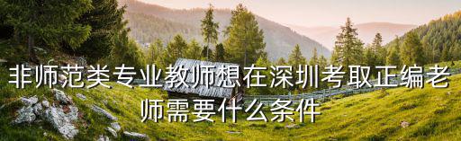 2019深圳羅湖教師招聘公告，羅湖區深圳教師編制考試