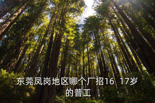 東莞鳳崗地區(qū)哪個廠招16  17歲 的普工