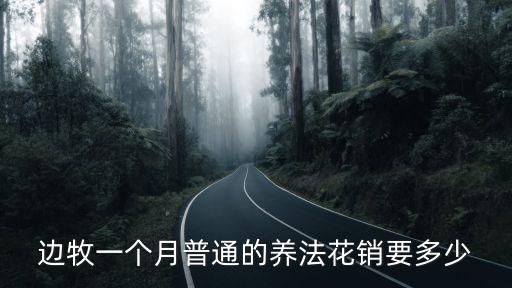 邊牧一個月普通的養法花銷要多少