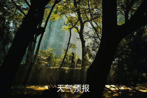 天氣預報