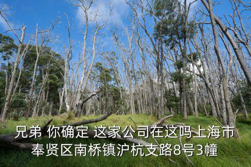 兄弟 你確定 這家公司在這嗎上海市奉賢區南橋鎮滬杭支路8號3幢