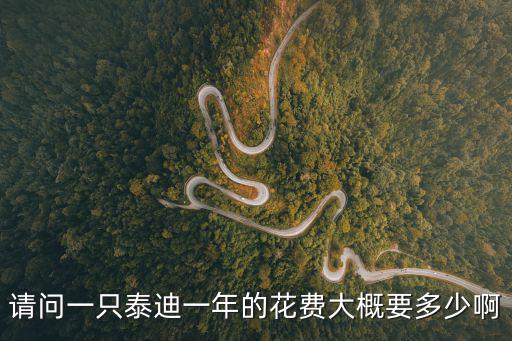 請問一只泰迪一年的花費大概要多少啊
