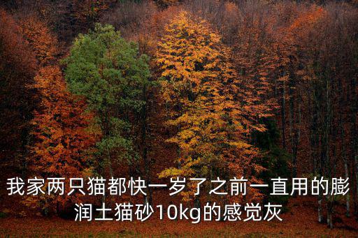我家兩只貓都快一歲了之前一直用的膨潤土貓砂10kg的感覺灰