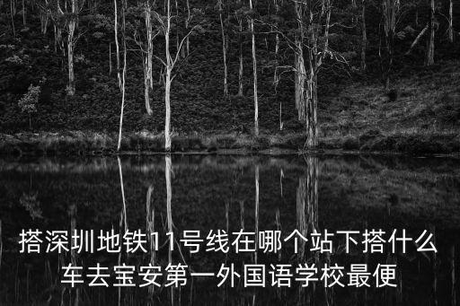 搭深圳地鐵11號線在哪個站下搭什么車去寶安第一外國語學校最便