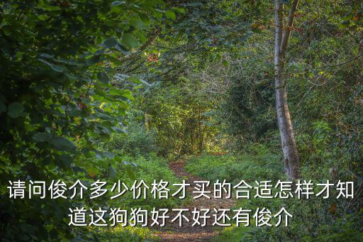 請問俊介多少價格才買的合適怎樣才知道這狗狗好不好還有俊介