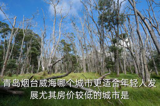 青島煙臺威海哪個城市更適合年輕人發展尤其房價較低的城市是