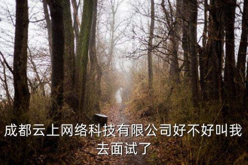 成都云上網絡科技有限公司好不好叫我去面試了