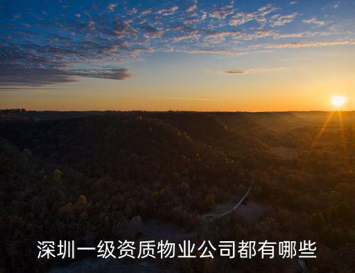 深圳一級資質物業公司都有哪些