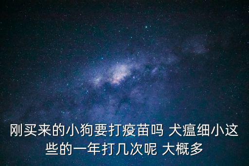 剛買來的小狗要打疫苗嗎 犬瘟細小這些的一年打幾次呢 大概多