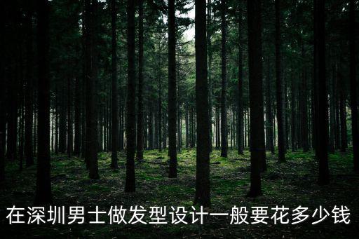 在深圳男士做發型設計一般要花多少錢