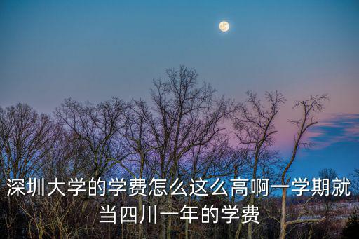 深圳大學的學費怎么這么高啊一學期就當四川一年的學費