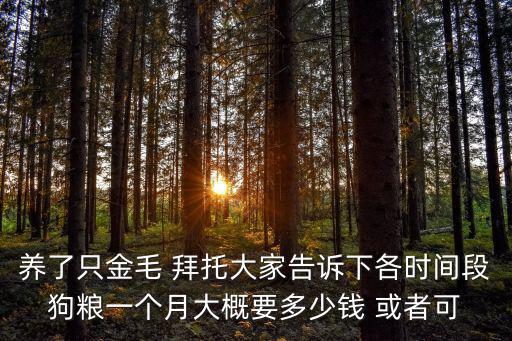 養了只金毛 拜托大家告訴下各時間段狗糧一個月大概要多少錢 或者可