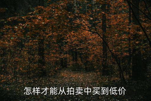 怎樣才能從拍賣中買到低價