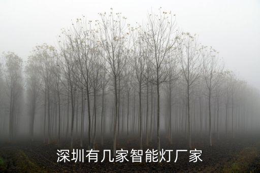 深圳大東家智能，深圳哪里的智能家居口碑比較好