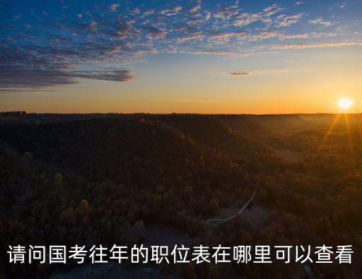 請(qǐng)問(wèn)國(guó)考往年的職位表在哪里可以查看