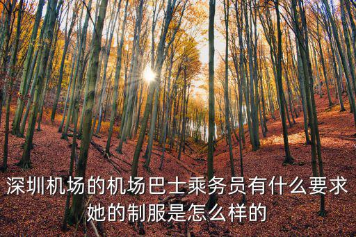 深圳機場旅客穿太空服，深圳機場的機場巴士乘務員有什么要求她的制服是怎么樣的