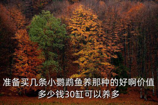 準(zhǔn)備買幾條小鸚鵡魚養(yǎng)那種的好啊價值多少錢30缸可以養(yǎng)多