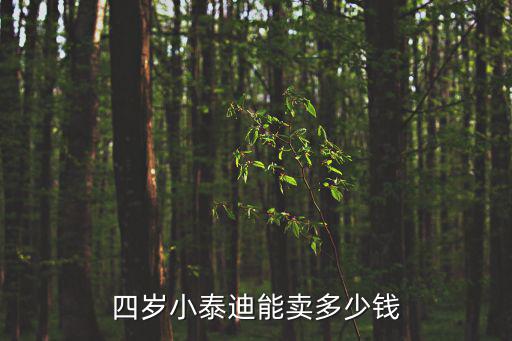 三歲的泰迪值多少錢(qián)，泰迪多少錢(qián)