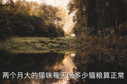 兩個月大的貓咪每天吃多少貓糧算正常