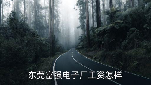 東莞富強鑫公司好嗎，東莞富強電子廠工資怎樣