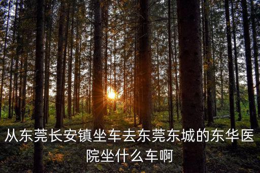 從東莞長安鎮坐車去東莞東城的東華醫院坐什么車啊
