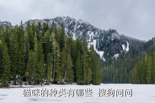 狗 貓種類多少，貓狗品種與數(shù)量