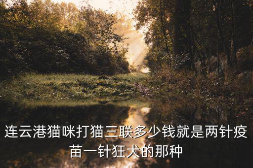 貓打三聯針多少錢一針，給貓貓打妙3聯大概多錢