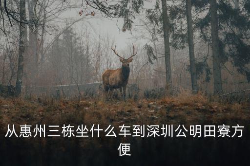 從惠州三棟坐什么車到深圳公明田寮方便