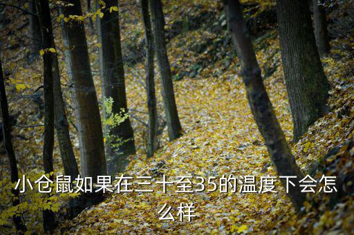 小倉鼠如果在三十至35的溫度下會怎么樣