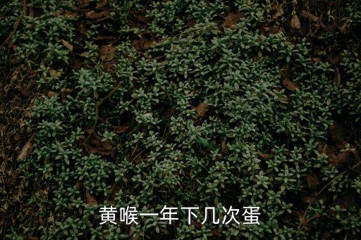 黃喉一年下幾次蛋